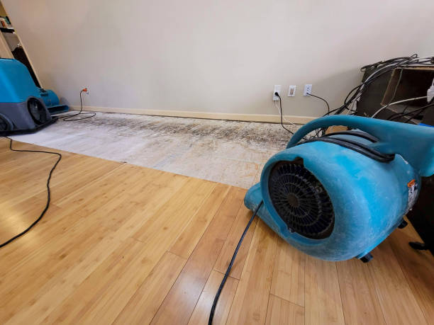 Professional Basement Flood Cleanup technician working in Lumberton, TX